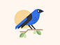 IndigoBunting.png