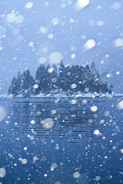 猫♛斯拉·²¼·采集到梦❤守望雪国的那抹白