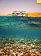 红海游客。铝加扎勒河省艾哈迈尔，埃及