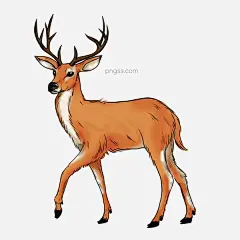 手绘风麋鹿可商用图片大小2000x2000px 图片尺寸1.05 MB 来自PNG搜索网 pngss.com 免费免扣png素材下载！动物#麋鹿#手绘#手绘风#手绘麋鹿#装饰图案#