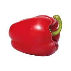 手绘逼真红辣椒