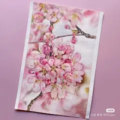 水彩---樱花-梨花-桃花-海棠花、梅花 - 高清图片，堆糖，美图壁纸兴趣社区