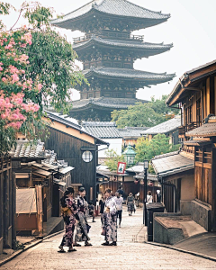 用户TaFSoUEJ采集到待归类采集