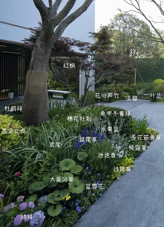 长效花镜搭配分享日常#绿化 #花境植物 #花境 # - 小红书-花瓣网
