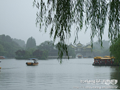 Lizihuli1采集到梅雨瘦西湖:多图, 冰度