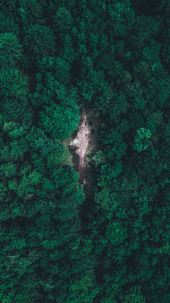 硬骨见鹿🍃采集到背景