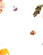 整体装饰png (24)