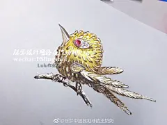 来 学员一个月的小作品
把水彩画出了油画的味道 ​​​​