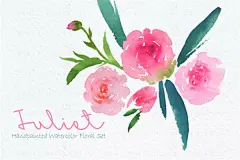 朱丽叶水彩插画墙壁艺术徽标设计品牌营销材料素材下载 Juliet Watercolor Clip Art