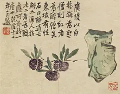 广陵以白杨梅为圣僧，则红者为醉僧矣。东坡有怪石曰醉道士，鱓亦酒人。拈此二者为图，应可参我一座也。
（清 李鱓 花卉草虫册页）