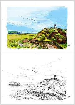 【溶萱手绘】【手绘风景明信片】韩国济州岛~#手绘##插画##艺术##绘画#