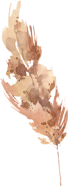 枯叶干草植物根茎