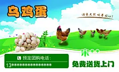 乌鸡蛋,乌鸡蛋,,鸡蛋,,家养鸡,,土鸡蛋,,天然家养鸡,精品名片卡,精品模板,模板素材,网,模板网站,模板下载编号2816168@北坤人素材
