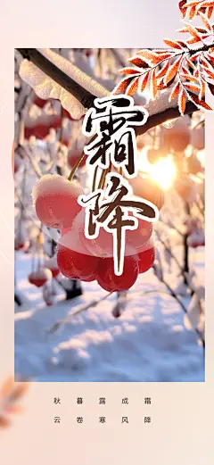 传统霜降二十四节气海报