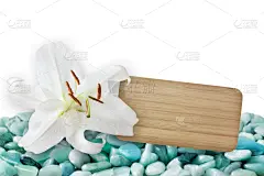 标签,百合花,贺卡,空的,替代医药,印度草医学,健康,平衡,禅宗