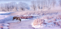 Winter Solace by Margaret Morgan on 500px