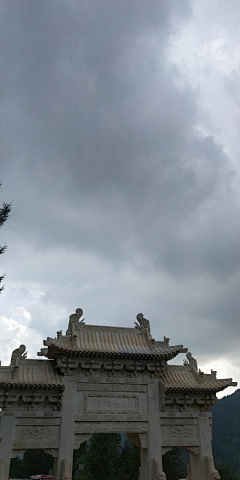 淡淡丫采集到走过路过错过