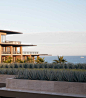 JW万豪洛斯卡沃斯海滩度假村 JW Marriott Los Cabos Beach Resort & Spa / Olson Kundig :   Olson Kundig：尽管与太平洋隔着一个横跨在酒店前部750英尺，约35英尺高的沙丘，但洛斯卡沃斯海滩度假村依然创造了从入口到海洋的直接联系，即通过地平线框架创造一个到达大厅和整个度假村的主要直观路径。 Olson Kundig：Though separated f...