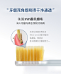 EBISU/惠百施日本进口软毛宽头牙刷成人男士女士家用套装-tmall.com天猫