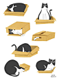 The cat and the box on Behance