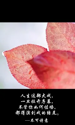 不可诗意、不可诗意文字图片、不可诗意图片、文字控、文字控图片、李宫俊、文字图片、文字美图、唯美图片、小清新美图、小清新插画、文字图、文字控、文字图片、文字排版、文字设计、文字壁纸、唯美文字、那些感动文字、文字壁纸、唯美文字、文字海报、手写文字、美文美图、美文、句子、搞笑、女性唯美图片、唯美意境图片、唯美图片大全、唯美动漫图片、唯美的句子、非主流图片唯美、唯美古风图片、文字图、手写、语录、情感、英文、文字句子、手绘、素描、水彩、彩铅、油画、版画、绘画教程文字控图片、文字控头像、文字控壁纸、唯美文字控图片、Q