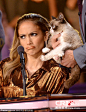 美国当地时间4月23日，《美国偶像》第13季前6争夺赛。评审詹妮佛·洛佩茨（Jennifer Lopez）穿棕色亮衣现身，与暴躁猫（Grumpy Cat）皱眉撅嘴卖萌合影。现场劲歌热舞气氛异常火爆。