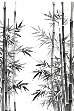 大自然中国风竹子竹林自然风景插画