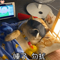 睡了