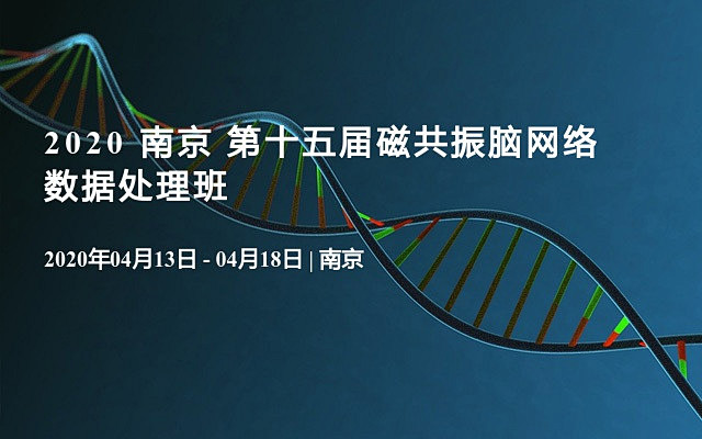 2020 南京 第十五届磁共振脑网络数据...