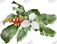森系背景 花纹素材 【酷图网】水彩装饰素材,手绘插画,水彩插画,森系背景,花纹素材,植物花纹,装饰叶片,广告设计,海报设计,婚礼设计,节日设计素材,设计素材,设计,底纹边框,背景底纹,