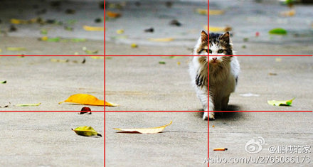 井字形构图的绘画作品九宫格构图法九宫格构图的照片九宫格构图商品