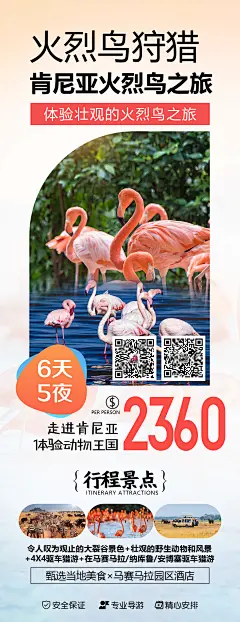 火烈鸟