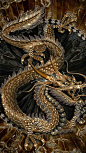 Dragon ~ Master of Mystical Fire ~ is the oldest and wisest spirit-animal, illuminating collective unconsciousness through lightning: Oriental Dragon, Chinese Dragon Wallpaper, Golden Dragon, Dragons, Dragons Chinese, Chinese Dragon Tattoo, Wallpapers, Dr