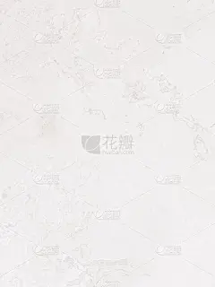 纯白色墙纸上的单色布局