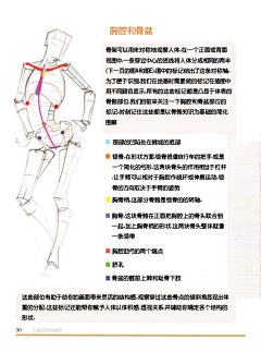 胸肌加蘑菇采集到人物素描的设计和创意