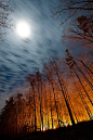 Full Moon and a Forest Fire