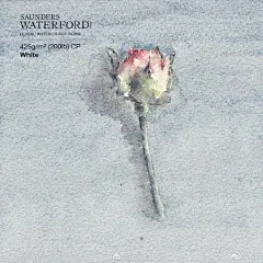 #手绘##插画# 投稿:@木灯 |

花朵是天使的眼睛

#行走的艺术# ​​​​