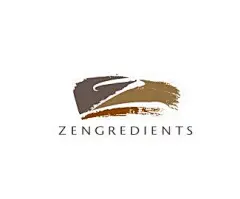 Z字母设计
国内外优秀logo设计欣赏