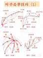 国画 (27)