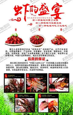 龙虾海报写真 【酷图网】龙虾,写真,海报,龙虾做法,盛宴,绿地,绿草,品质,美食,龙虾介绍,味道,油焖大虾