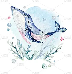 一组海洋动物。蓝色水彩海洋鱼，海龟，鲸鱼和珊瑚。壳牌水族馆背景。航海手绘插图。