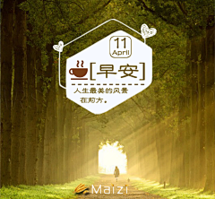 阳阳阳小小小露露露采集到版式