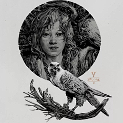 噜噜丿丶采集到Geirrod Van Dyke 美国插画师
