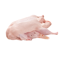 碌嘢好劲采集到鸡鸭鹅肉