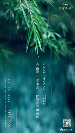 游鱼索翼采集到平面-二十四节气