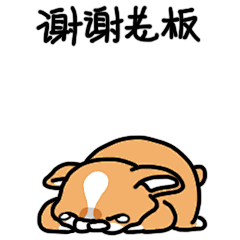 FPe大树采集到卷的作品集