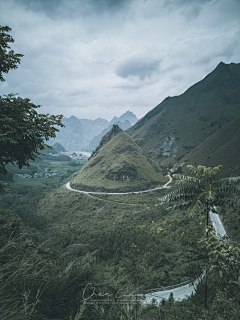 泊枫采集到独景