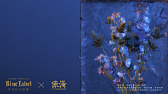 电商设计师-阿龙采集到【陈漫作品集】