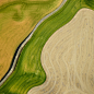 Project #11 Palouse V.2 Looking Down : A second post from my recent fly over the Palouse in Eastern Washington. This time the photos are from directly above shooting down on the landscape. 