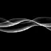 FX_trail_6018